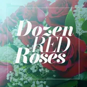One Dozen Red Roses — The Flower Company