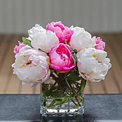 Peonies