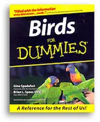 Birds for Dummies