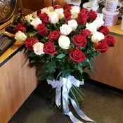 WHITE & RED