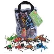 10 Piece Insect Collection