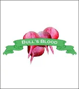 Beet Seed. Organic Bull’s Blood. Heirloom. Pkt.