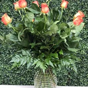 CLASSIC ORANGE ROSES