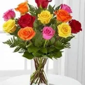 Beautiful Roses Color Collection!