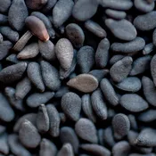 Black Sesame Seeds