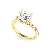 The ANNETTE Ring