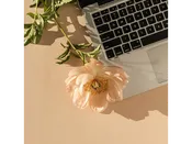 30 Minute Consultation Zoom Call — Joseph Richard Florals