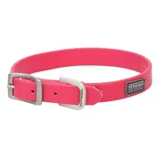 X-Treme Adventure Dog Collar