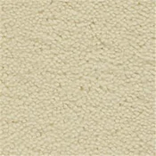 Fabrica Antique Lace Plush Saxony Carpet