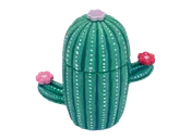 Cactus Box Acrylic Kit