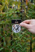 A+K Sticker Pack | Shop Good OKC — Shop Good