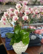 Deluxe Orchid Decorative Pot
