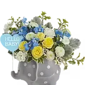 Hello Sweet Baby - Blue