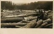 LOG JAM.