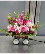 BABY GIRL WAGON (24 HOUR NOTICE)
