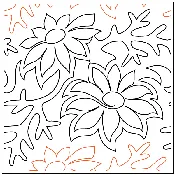 Flannel Flower Pantograph