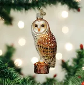 Barn Owl Ornament - Old World Christmas Ghost Owl Decor