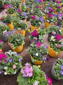 8" Annual Mixed Planter