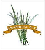 Grass Seed. Organic Perennial Rye.