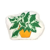 Dirt and Dog Hair Pothos Plant — Jeffrey's Natural Pet Foods