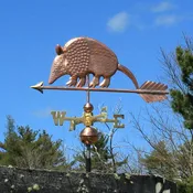 Armadillo 448