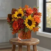 Hello autumn