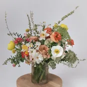 Designer's Choice - Peach Bellini