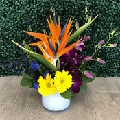 Bold & Colorful