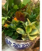 CERAMIC DISH GARDEN
