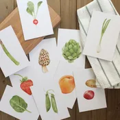 40 Seasonal Produce Learning Cards