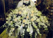 All White Extravaganza Casket