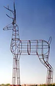 Buck