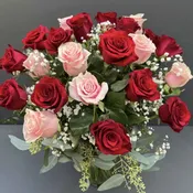 2 Dozen Red and Pink Roses