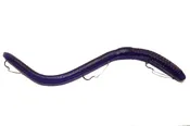 BIG 8IGHT 8″ – GRAPE