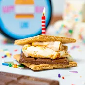 Birthday Bash S'mores Bonfire Set