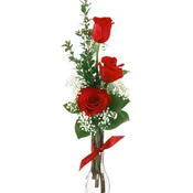 3 Red Roses