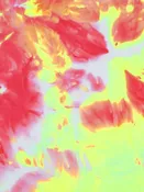 Highlighter Yellow/White/Coral Red Polyester/Lycra Tie-Dye Print Double Brushed Knit 61W