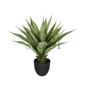 Agave Succulent Plant x19 Leaves Potted, 20in, Green