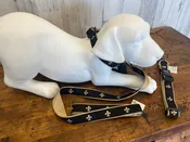 Fleur De Lis Dog Collar