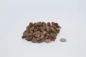 Desert Vista Brown