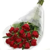 Fresh Cut Long Stem Roses Wrapped in Cellophane