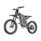 Freego X2 Pro All-Terrain Dirt eBike