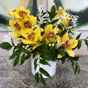 Orchid & Vine Verdant