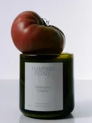 Flamingo Estate 8oz Candle - Roma Heirloom Tomato