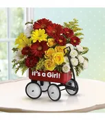 Baby's Wow Wagon   - Girl