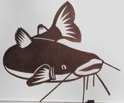 Catfish