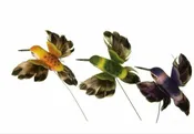 Hummingbird Pick | Talk ta Me Floral