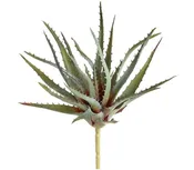 10″ Real Touch Aloe Pick, Green/Grey