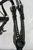 Add Studs To Any Tack — Australian Stock Saddle Company By Colin Dangaard Inc.