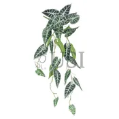 Alocasia Vine Hanging Greenery Bush, 36in, Variegated